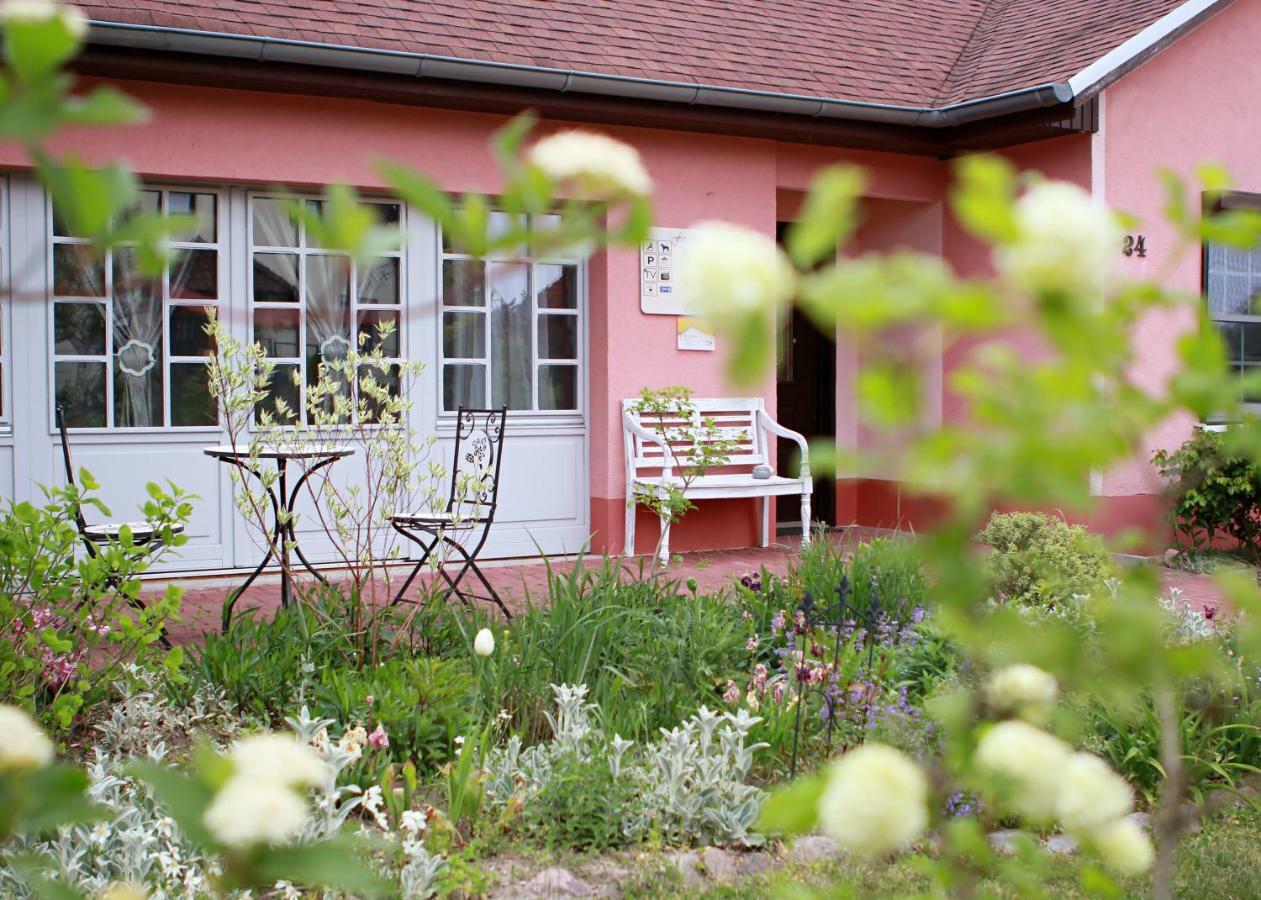 Ferienhaus Friedrichswalde المظهر الخارجي الصورة